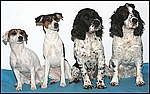 Kira, Fly, Riko und Dina
